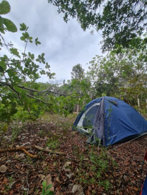 Camping Que Brota do Chão